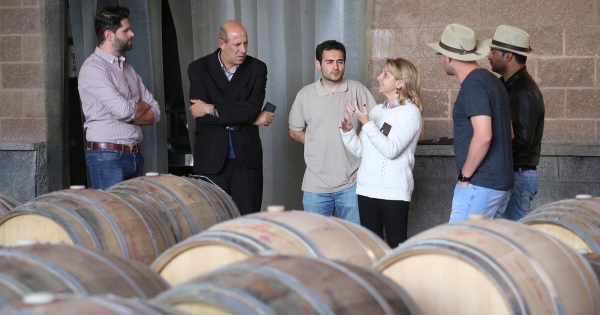 Bespoke winery tour and tasting at Susana Balbo Wines Wine Paths